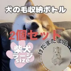 けだまだま メモリアル キーホルダー 毛玉 ケース 犬の毛 柴犬 秋田犬 2個のサムネイル