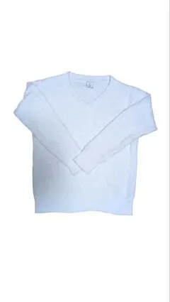 ジェラートピケ もこもこ ホワイト Vネック ルームウェア フリーサイズ