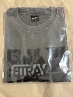 StrayKids RUN IT フォトTシャツ グレー Lサイズ