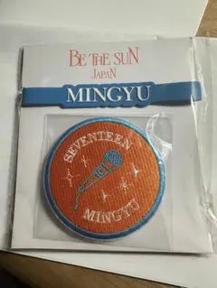 SEVENTEEN BE THE SUN ペンライトアクセサリー　ミンギュ