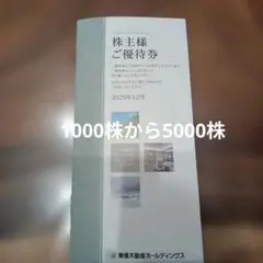 送料込み⭐︎株主優待券 東急不動産ホールディングス　1000株