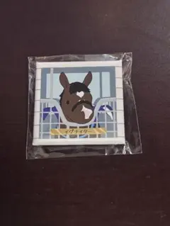 イグナイター アロースタッド 缶バッジ