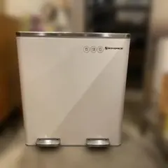 SONGMICSダストボックス 2分別ペダル式 2×30L ステンレス製のサムネイル