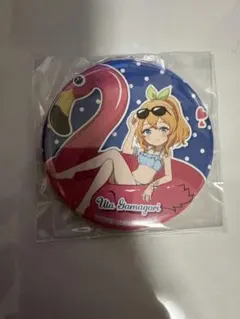 ワンピース ハワイアンズ ウォーター ナミ 水着 輩缶バッジ バースデー