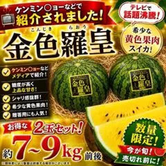 超特大！　金色羅王 熊本県産 希少な黄色いスイカ 約13kg 超特大！ 金色羅王 熊本県産 希少な黄色いスイカ 約13kg - メルカリ