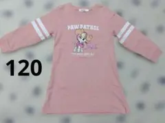 120cm SLAP SLIP パウパトロール　スカイ　ワンピース　綿100%