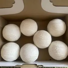 ナガセケンコー KENKO BALL J球 7個入り