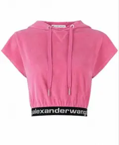 ALEXANDER WANG ベロア フーデッド クロップド トップスのサムネイル