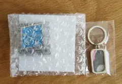 Item thumbnail for item bd6fd909-e74e-4cbd-86fd-e6e5ccb033b0