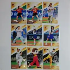 BBM 2025 FUSION 始球式 カード 9枚まとめ売り300枚限定 含む