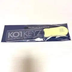 KO1KEYZ ペンライト