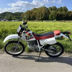 自賠責R9年2月まで】YAMAHA TT250R オフロードバイク ホワイト - メルカリ