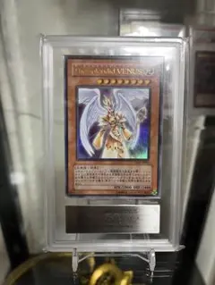 2026年最新】The splendid VENUSの人気アイテム - メルカリ