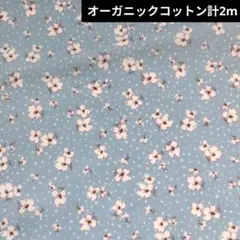 HOKKOH オーガニックコットン 3386