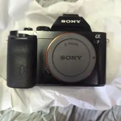 専用」ショット数1451回 SONY α7II 「ILCE-7M2K」 ​ - メルカリ
