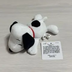 ユニバ スヌーピー