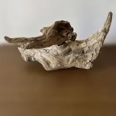 可動　流木