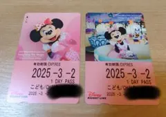 ディズニー リゾートライン フリーきっぷ ミニー 2枚 イマジニングザマジック