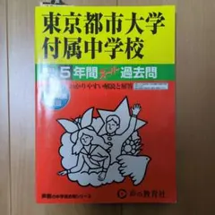 Item thumbnail for item 2d6d009b-ff14-43e3-b059-4f27e2a9b1ee