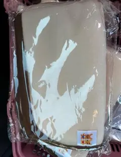 Item thumbnail for item e518f911-496c-4f37-a556-03358fcba09e