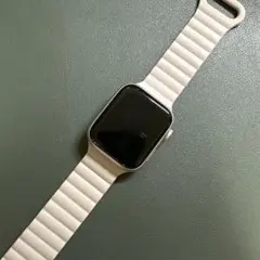 Apple Watch SE（GPSモデル）値下げ不可
