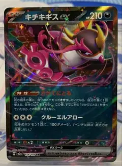 RR キチキギスex