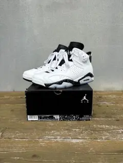 ジョーダン6 AJ6 レトロ　リバースオレオ　AIRJORDAN