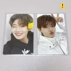 キノトレカ ジュンギュ 2枚