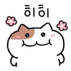 もちもち様専用ページ♡