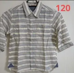 Branshes 七分袖シャツ 120