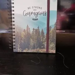 Item thumbnail for item 5c693280-924b-45c1-b90a-0bfa3a71813c