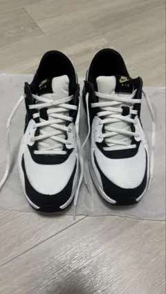 Nike Air スニーカー