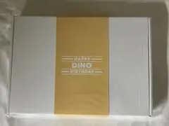 SEVENTEEN - ディノ　バースデーパッケージ SEVENTEEN セブチ DINO バパケ seventeen ディノ バパケ ver.1 2 セット SEVENTEEN ディノ