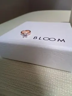 BLOOM　エステール　ベビーリング　ペンダントトップ　ムーンストーン　新品のサムネイル
