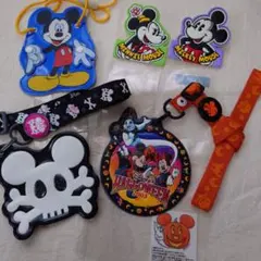 ディズニィーランド チケットホルダー