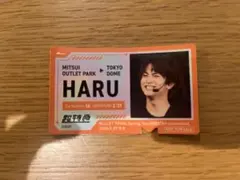 超特急 ハル 三井アウトレット