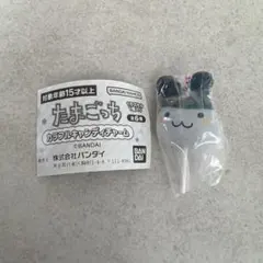 たまごっち　カラフルキャンディチャーム　みみっち　ガチャガチャ　新品　未開封