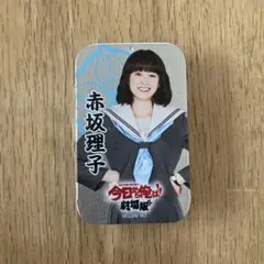 映画　今日から俺は!! グッズ　清野菜名　赤坂理子　缶ケース 小物入れ