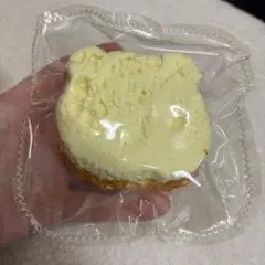 海外スクイーズ　クマパン