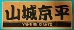 ☆即購入可☆巨人 山城京平投手 応援タオル