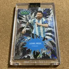 Item thumbnail for item d4624491-f0f0-4efa-bfba-fe33daa2c335