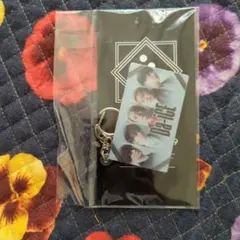ミュージシャン キーホルダー　⑤