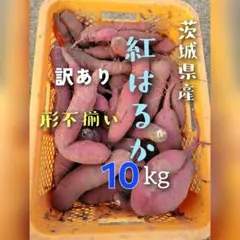 茨城県産　さつまいも　紅はるか　形不揃い10kg