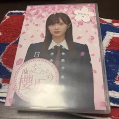 櫻坂46 井上梨名 テリトリー - メルカリ