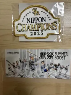 【非売品】ミニチュアホークスDTFワッペン、2025優勝記念ワッペンのサムネイル