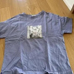 GLACIER グレー Tシャツ Sサイズのサムネイル