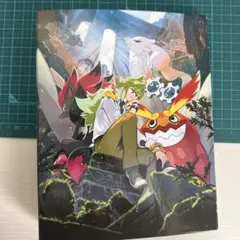 ポケモン A4クリアファイル