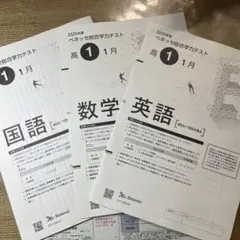 2025年度 高1 ベネッセ総合学力テスト1月