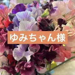 ゆみちゃん様 リクエスト 3点 まとめ商品