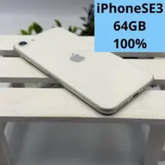 【美品】iPhone SE第3世代 64GB スターライト 273